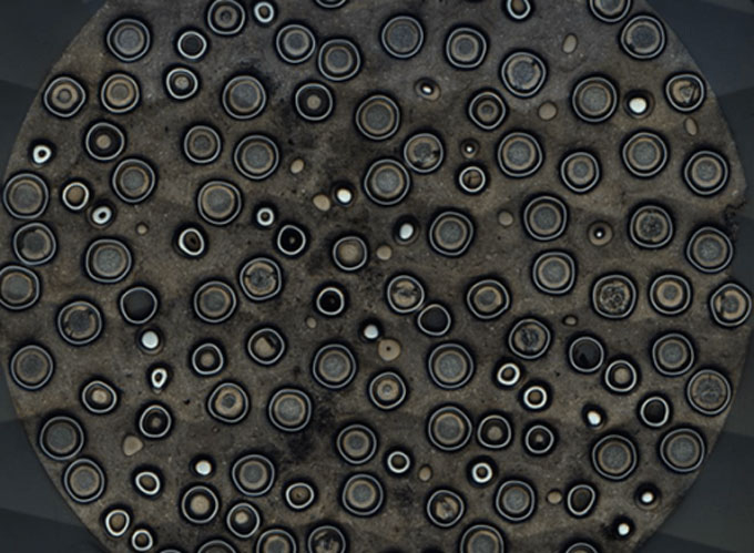 Concentric rings surround dozens of tiny uranium particles.